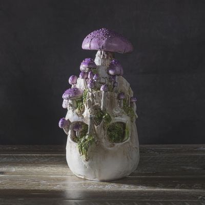 Mushrooms Skull [PURPLE]