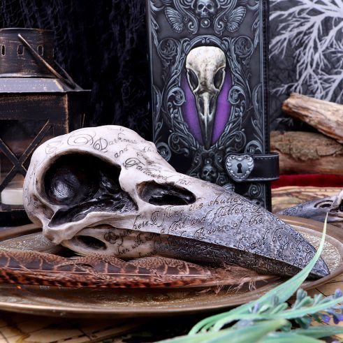 Edgar&#39;s Raven Skull [B1986F6]