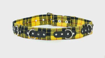 Belt BT219PD [YELLOW]