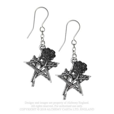 Boucles D&#39;Oreilles Ruah Vered [E402]