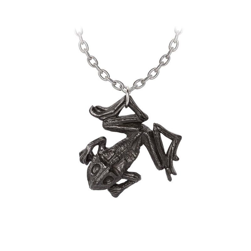 Collier Black Paddock [P987]