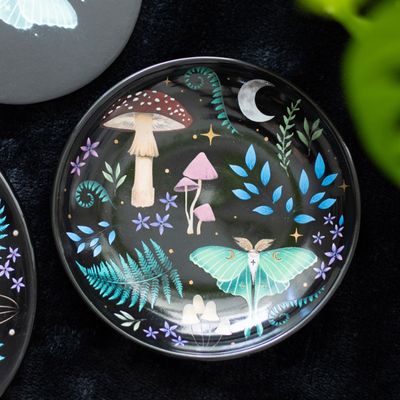 Dark Forest Jewelry Plate [DF_67824]