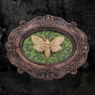 Moth Macabre Wall Decoration [D5067R0]