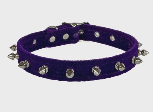Choker Velours CK134 [PURPLE]