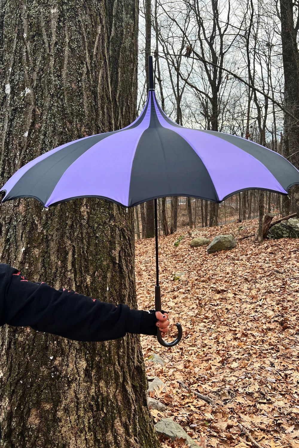 Parapluie Batwing Pagoda [NOIR &amp; MAUVE]