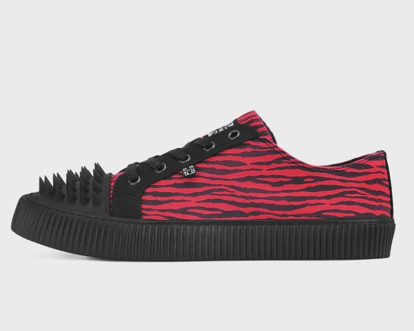 Souliers Zebra Spike Toe Creeper [A3481]