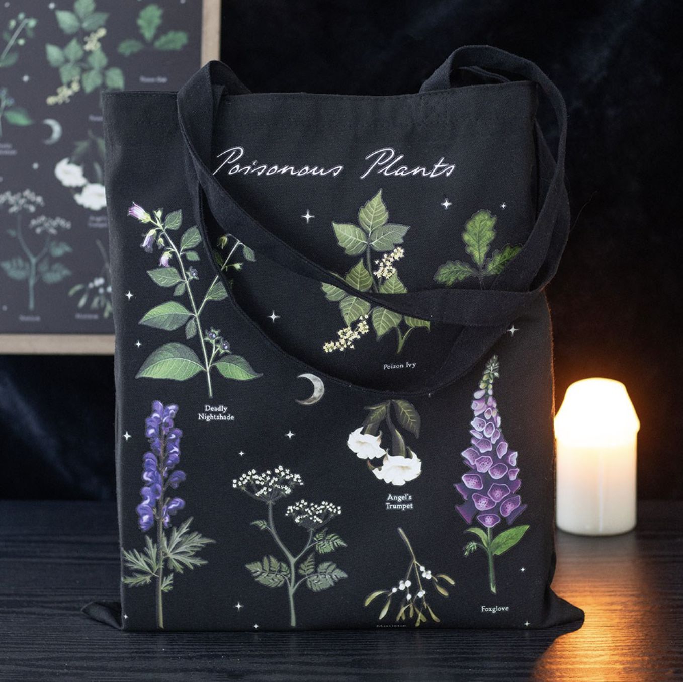 Sac Fourre-Tout Poisonous Plants [VE_05426]