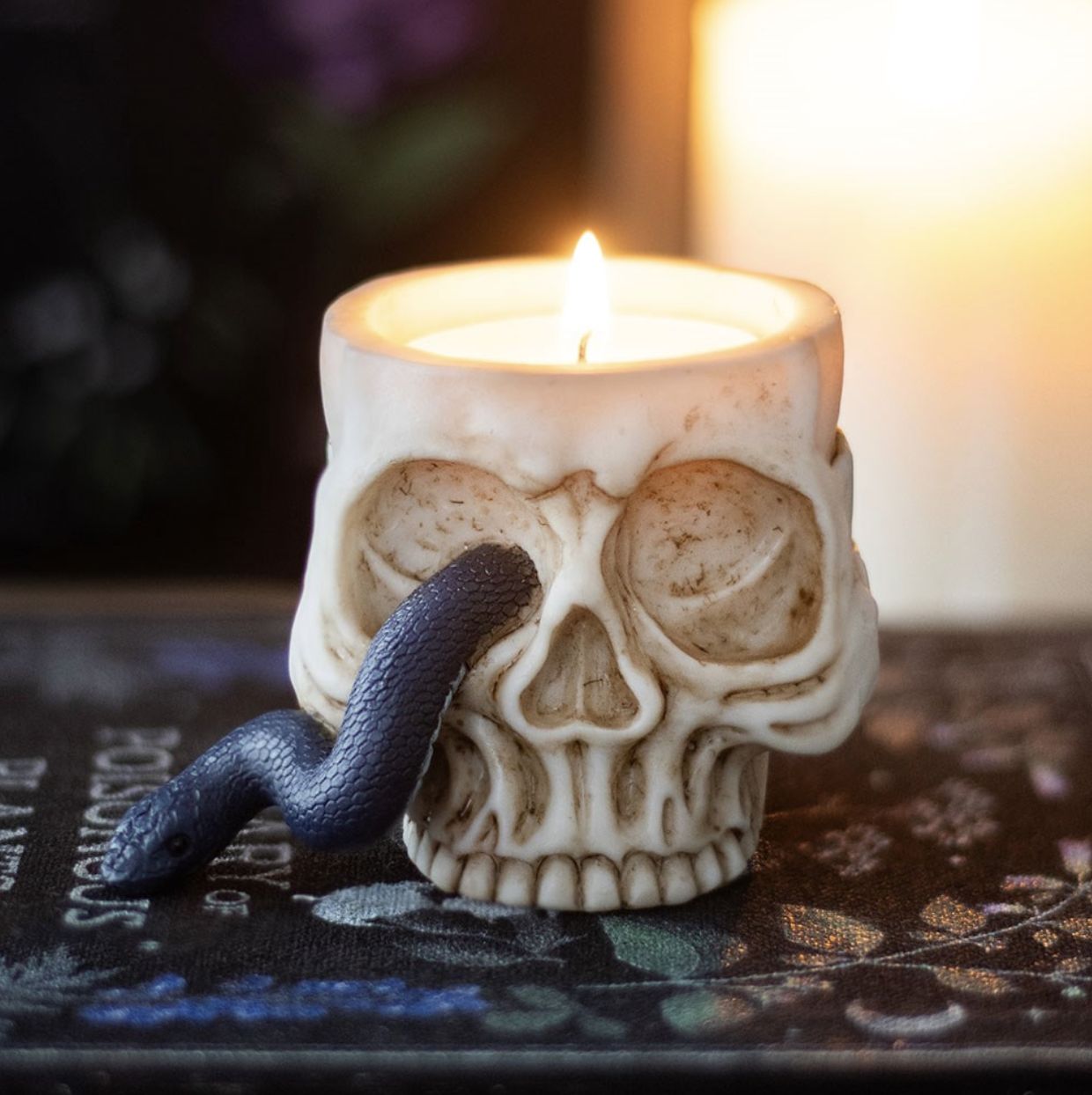 Porte-Bougie Crâne avec Serpent [VE_04426]