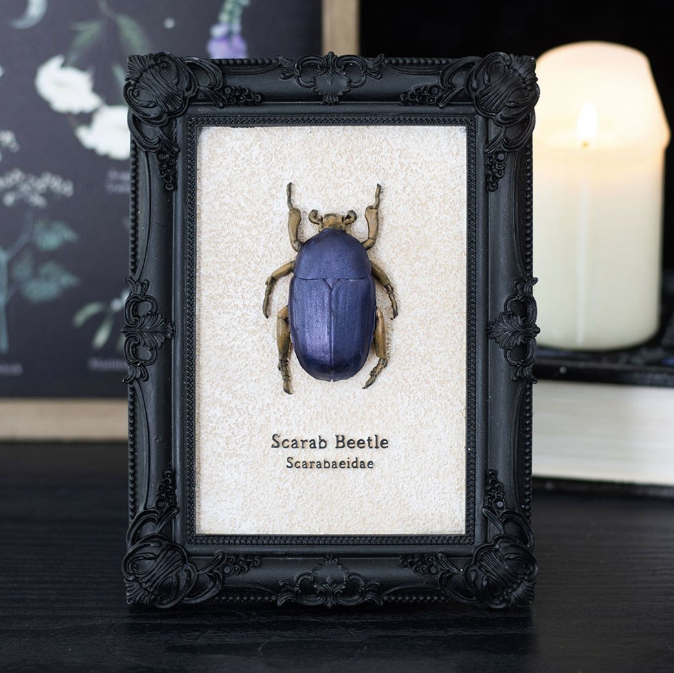 Cadre Scarab Beetle [VE_06326]