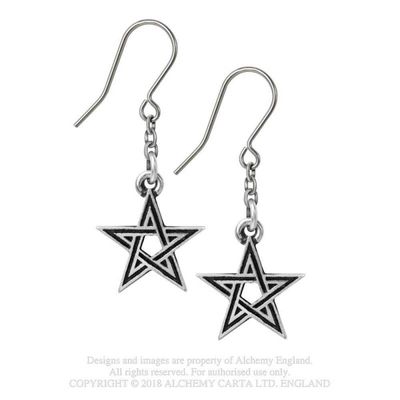 Black Star Earrings [E395]