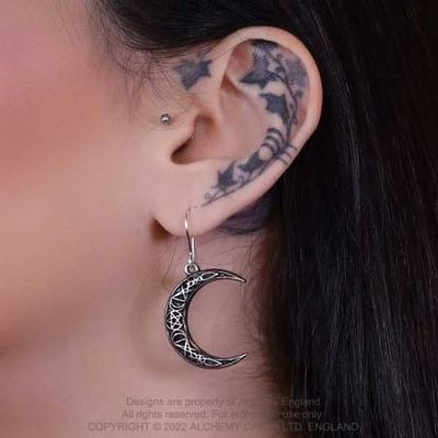 A Pact With A Prince Earrings [E458]