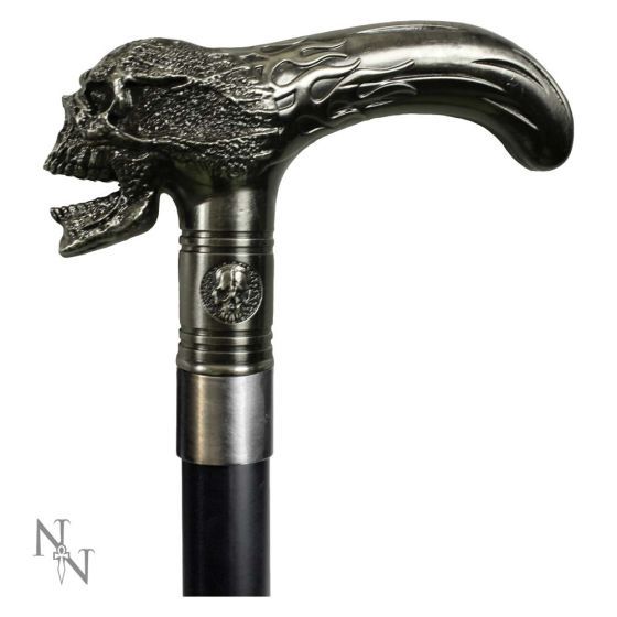 Xenocane Canne [D1892F6]