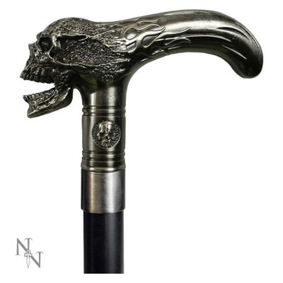 Xenocane Canne [D1892F6]