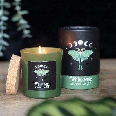 Luna Moth Candle [DF_79923]