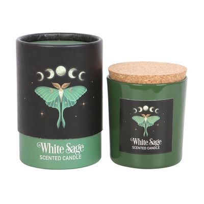 Luna Moth Candle [DF_79923]