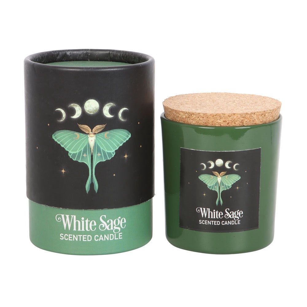 Luna Moth Candle [DF_79923]