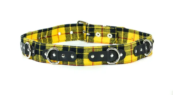 Belt BT219PD [YELLOW]