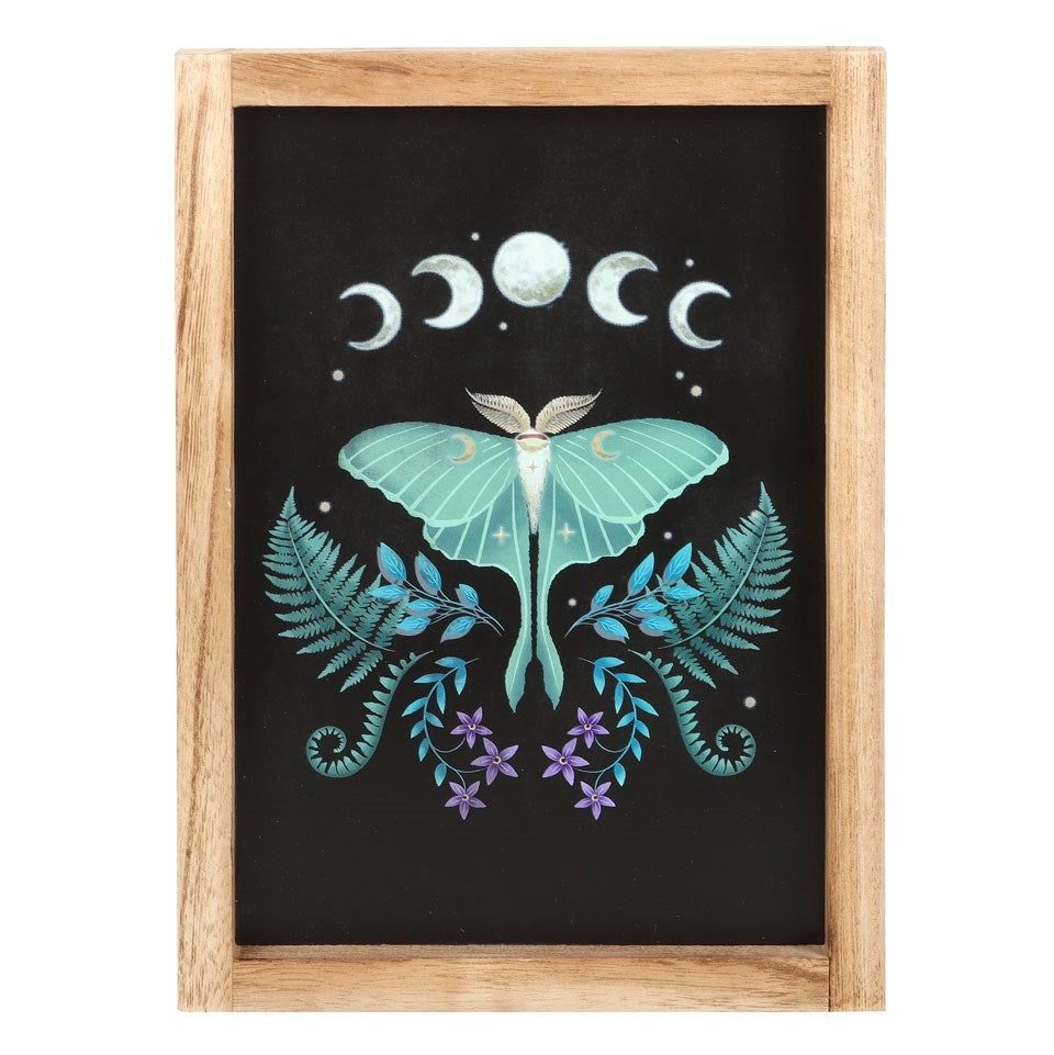 Luna Moth Frame [DF_79124]