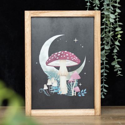 Forest Mushroom Frame [DF_79024]