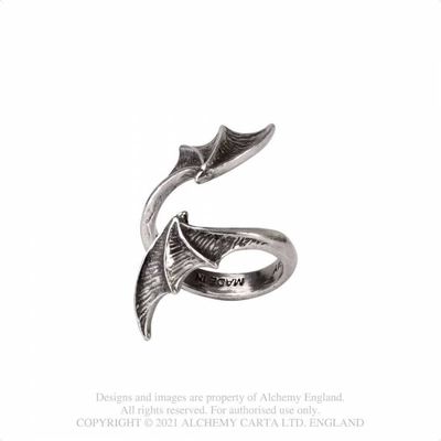 A Night With Goethe Ring [R244]