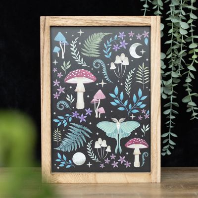 Dark Forest Frame [DF_78924]