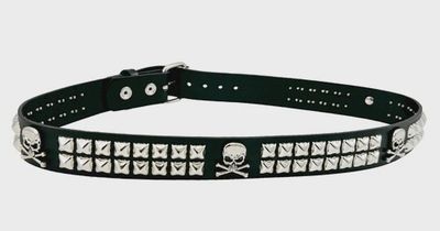 2 Row Silver Studded Leather Belt with Silver Skulls - BT642 [PLUS]