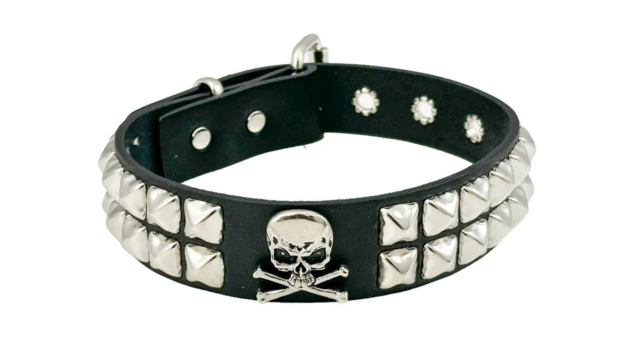 Skull &amp; Studs Choker FCK530