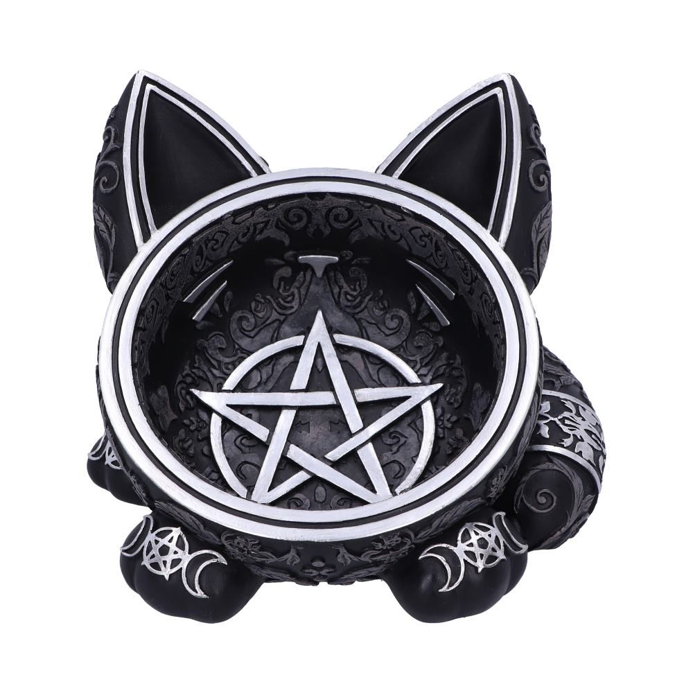 Bol Black Cat Magic [B6599Y3]