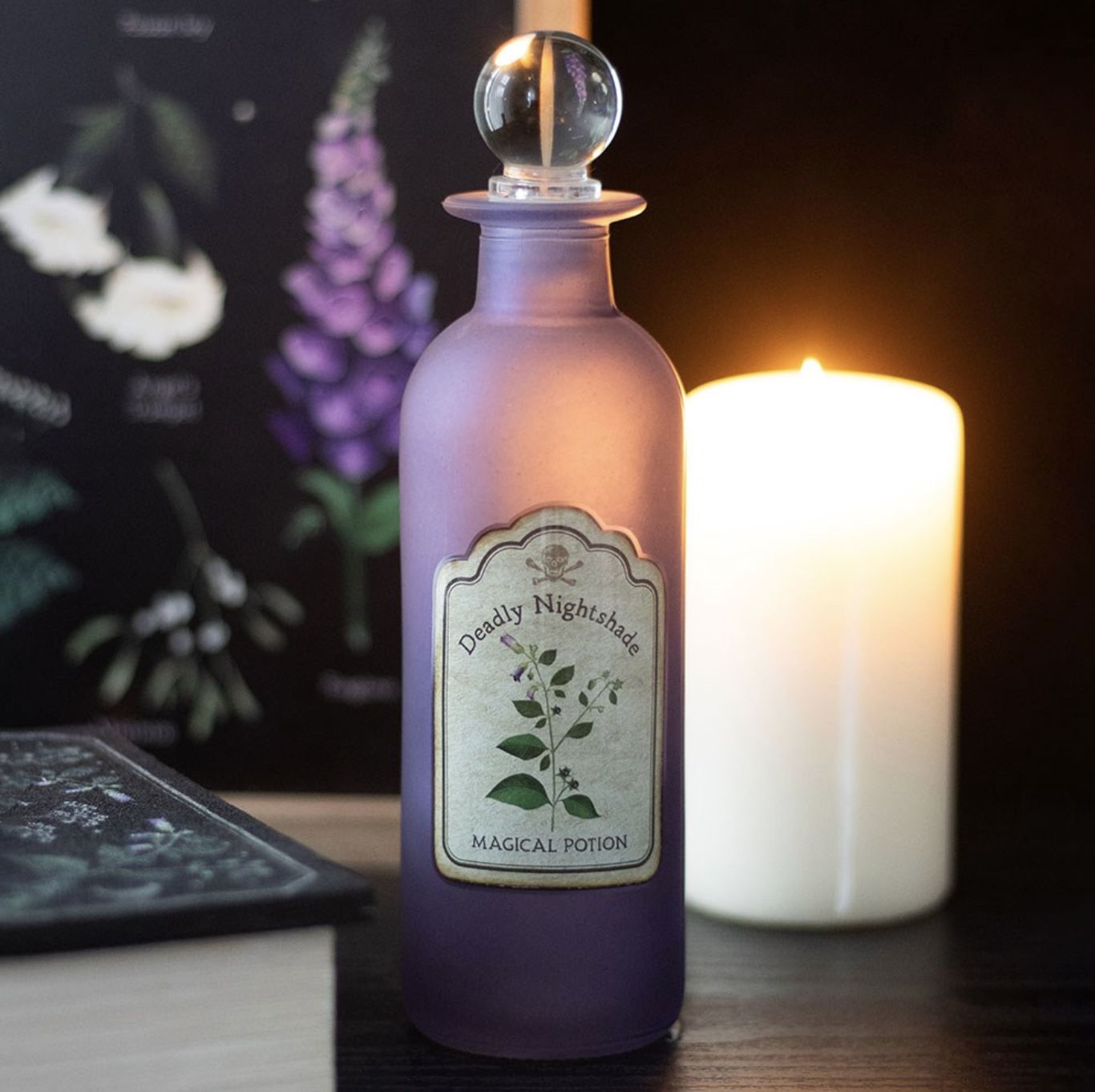 Bouteille Décorative Deadly Nightshade [VE_03526]