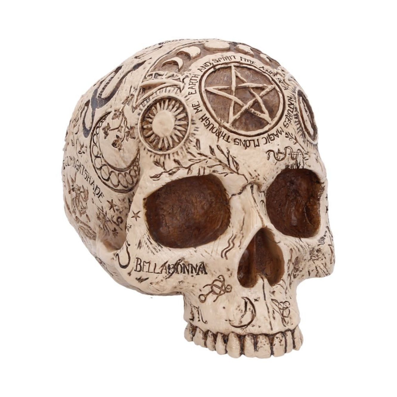 Apothecary Skull [B7537B26]