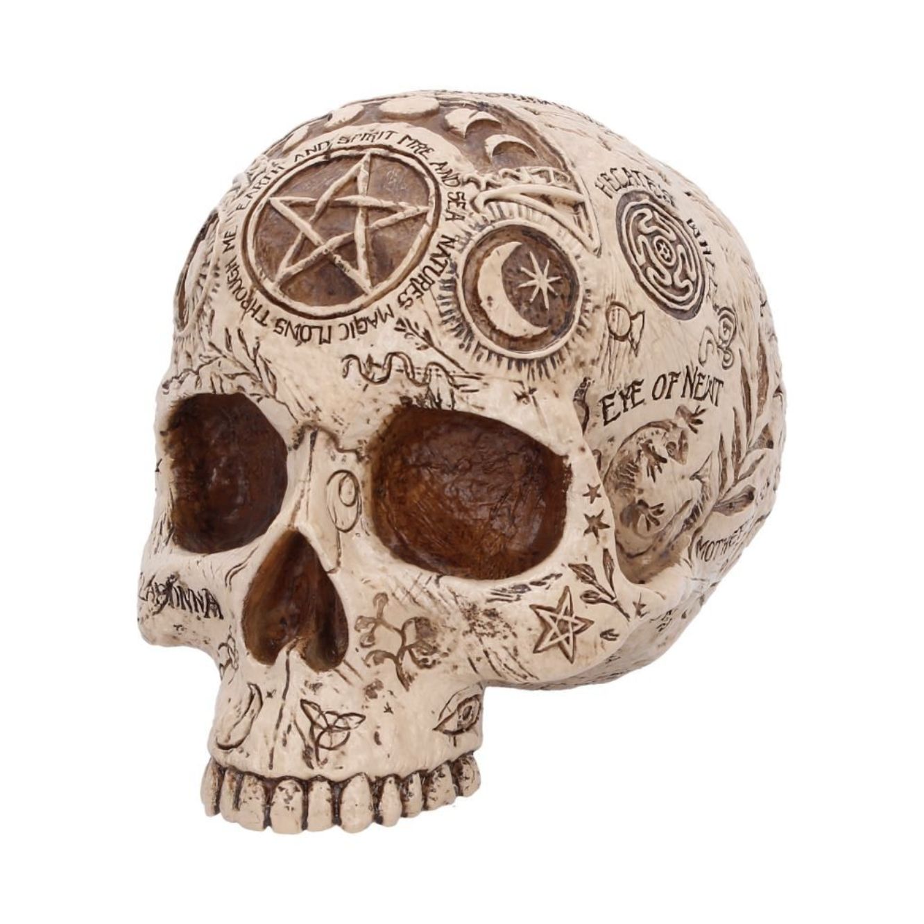 Apothecary Skull [B7537B26]