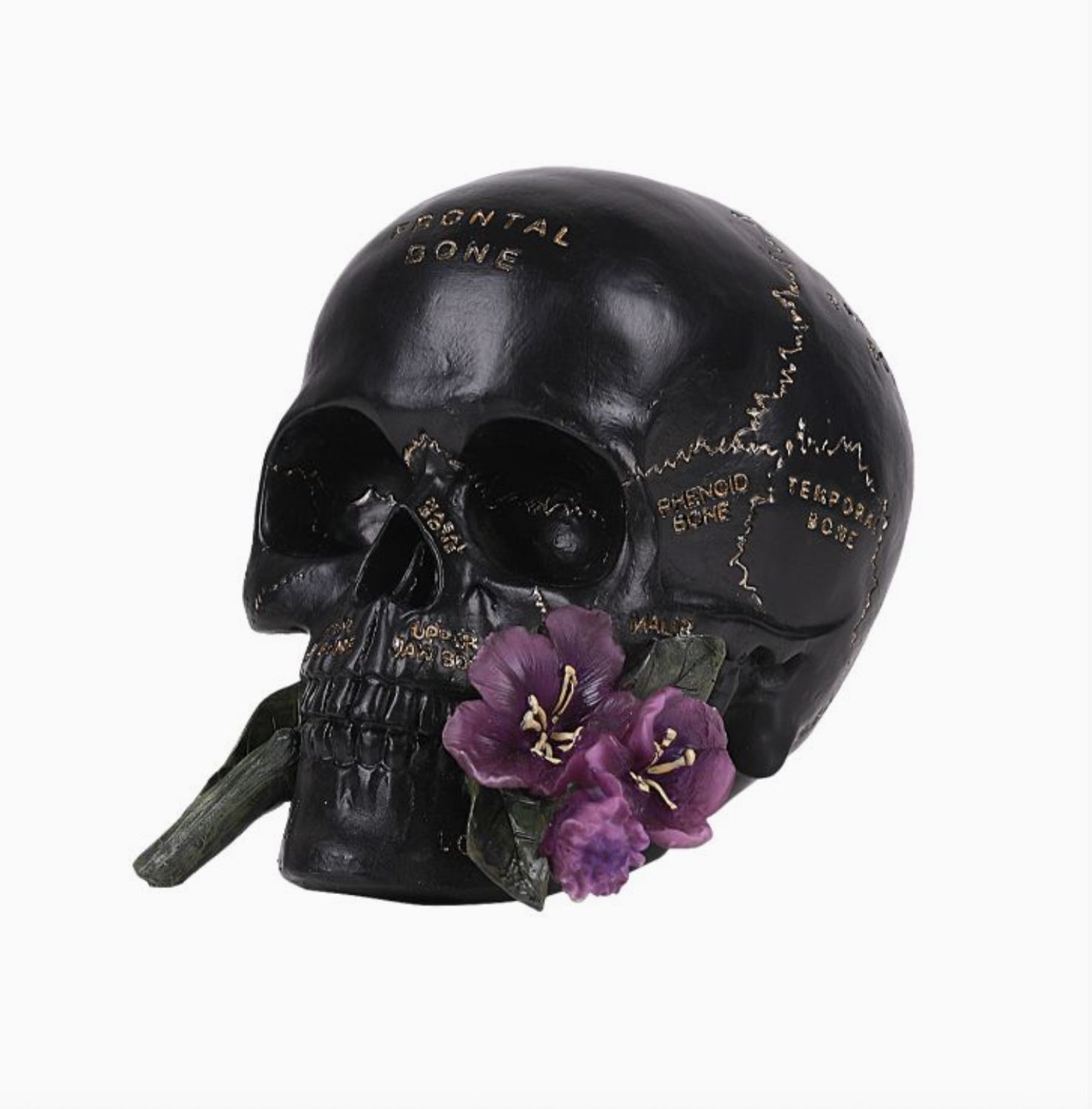 Skull Ornament with Flowers