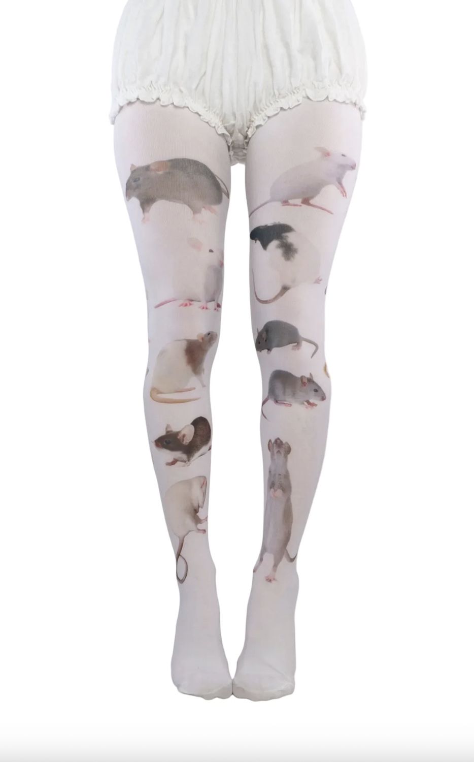 Rats Tights