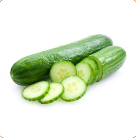 Cucumber