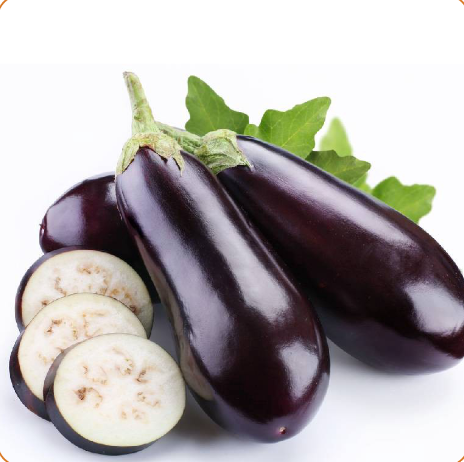 Eggplant