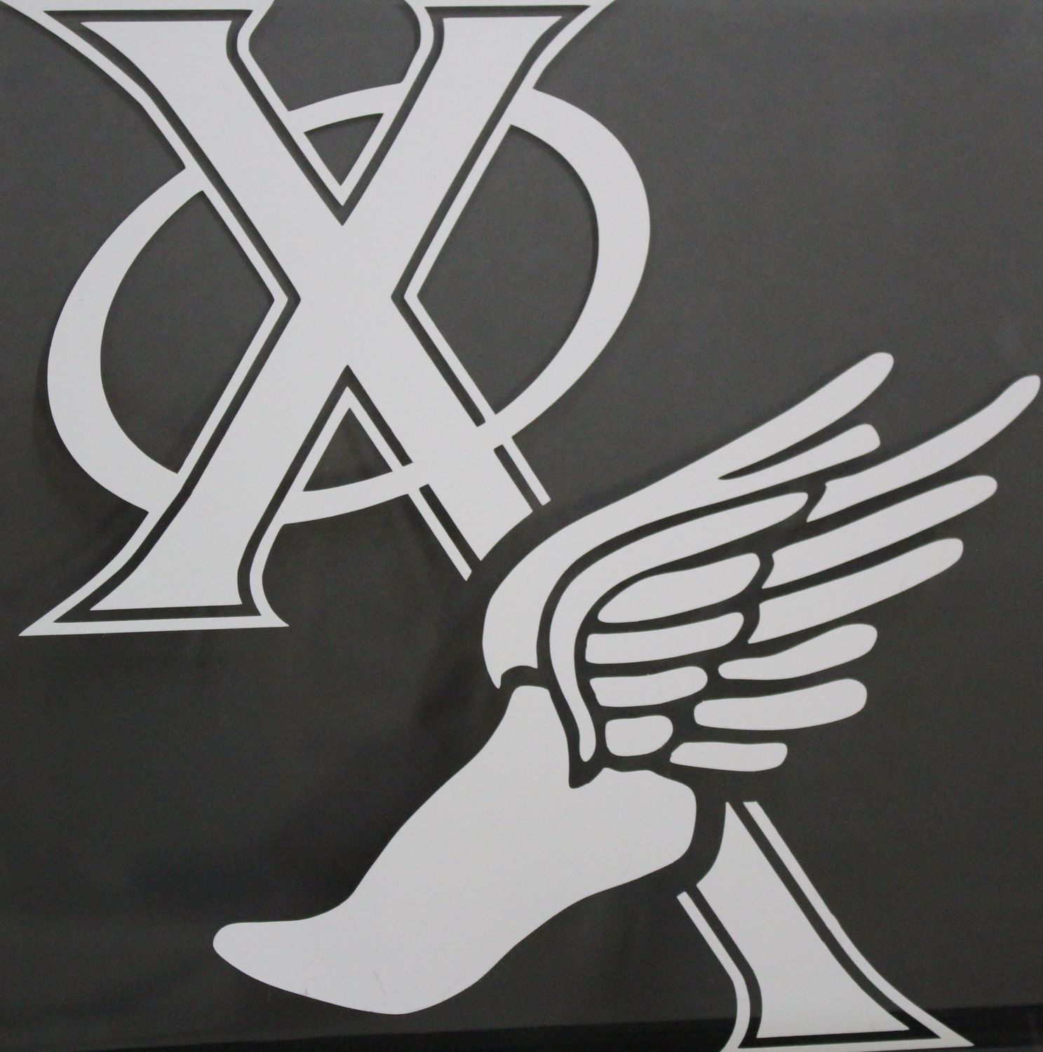 N65 Decal:  Track/Cross Country