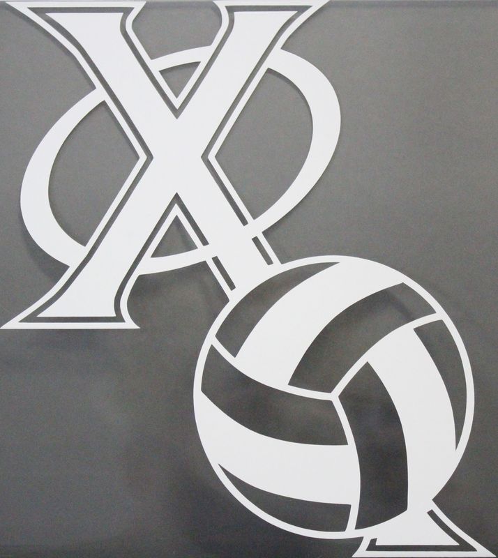N58 Decal:  Volleyball