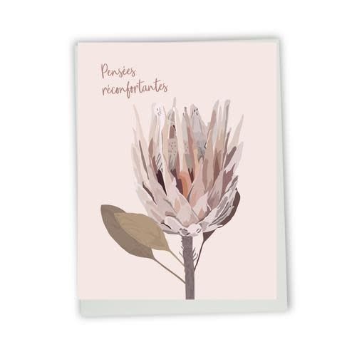 Lili Graffiti - Greeting Card - CS90
