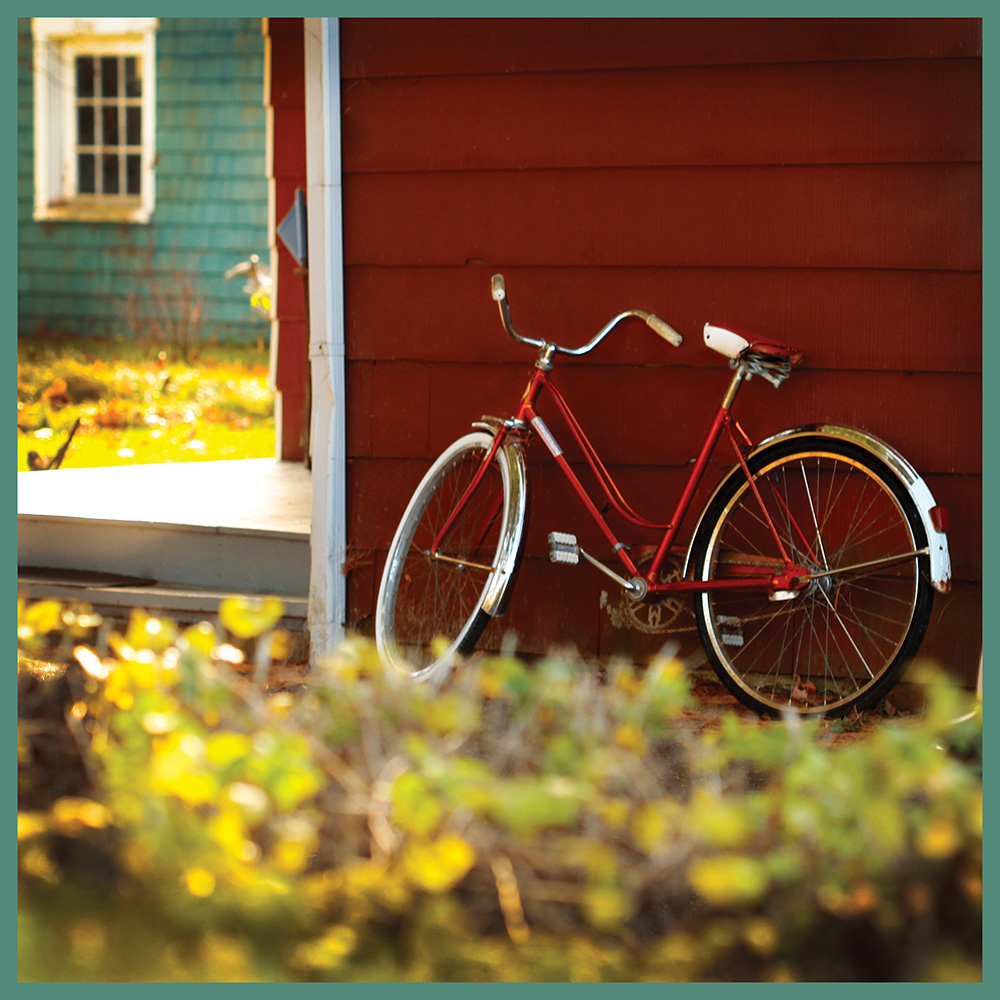 Jules La Mouche - Greeting Card - Red Bike