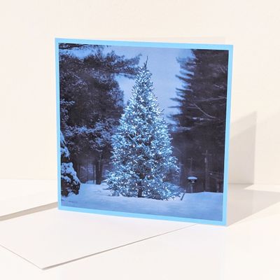 Jules La Mouche - Greeting Card - Blue Christmas Tree