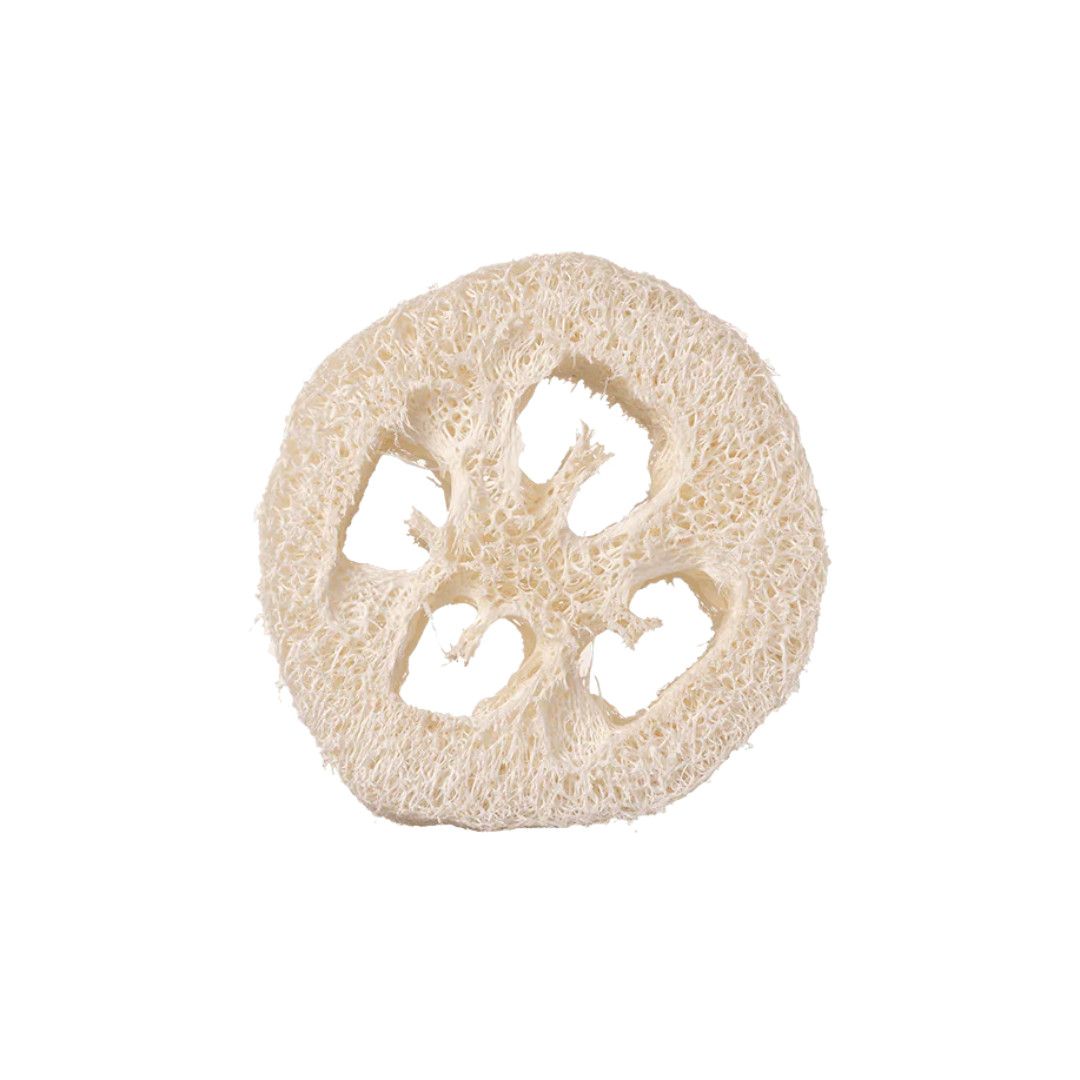 Well Kept - Gourd Loofah
