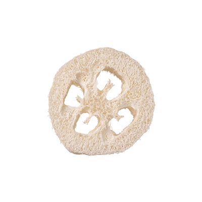 Well Kept - Gourd Loofah