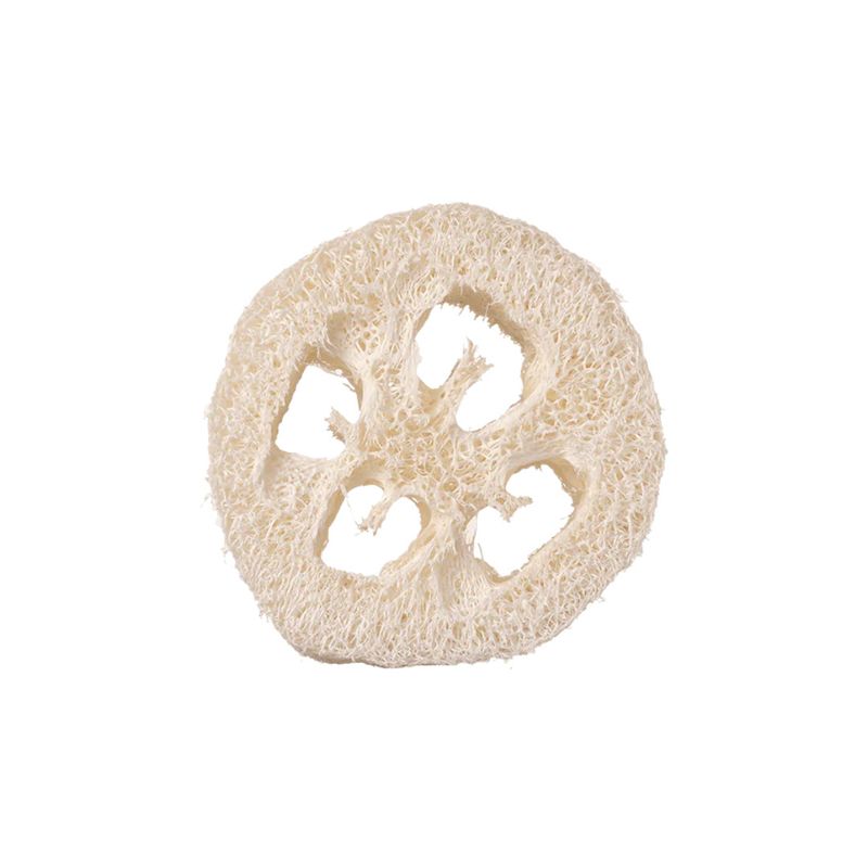 Well Kept - Gourd Loofah