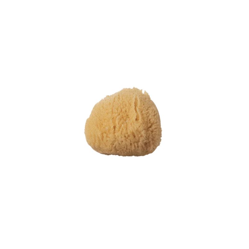 Well Kept - Sea Sponge - Small