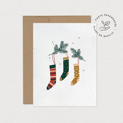 Mimosa - Greeting Card to Plant - Christmas Stockings