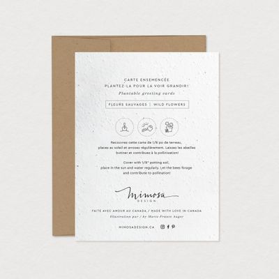 Mimosa - Greeting Card to Plant - Melody