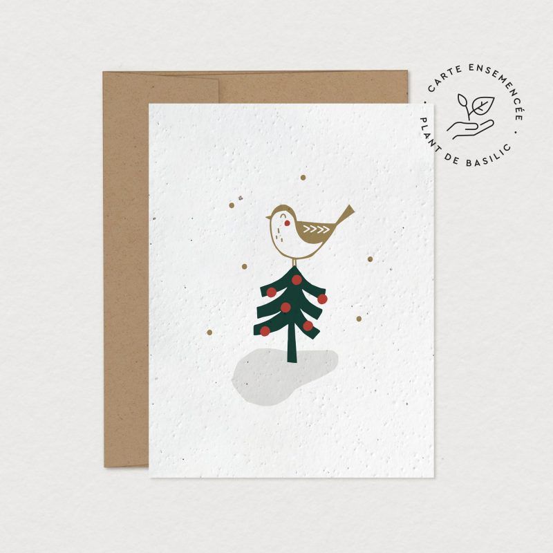 Mimosa - Greeting Card to Plant - Festive Bird