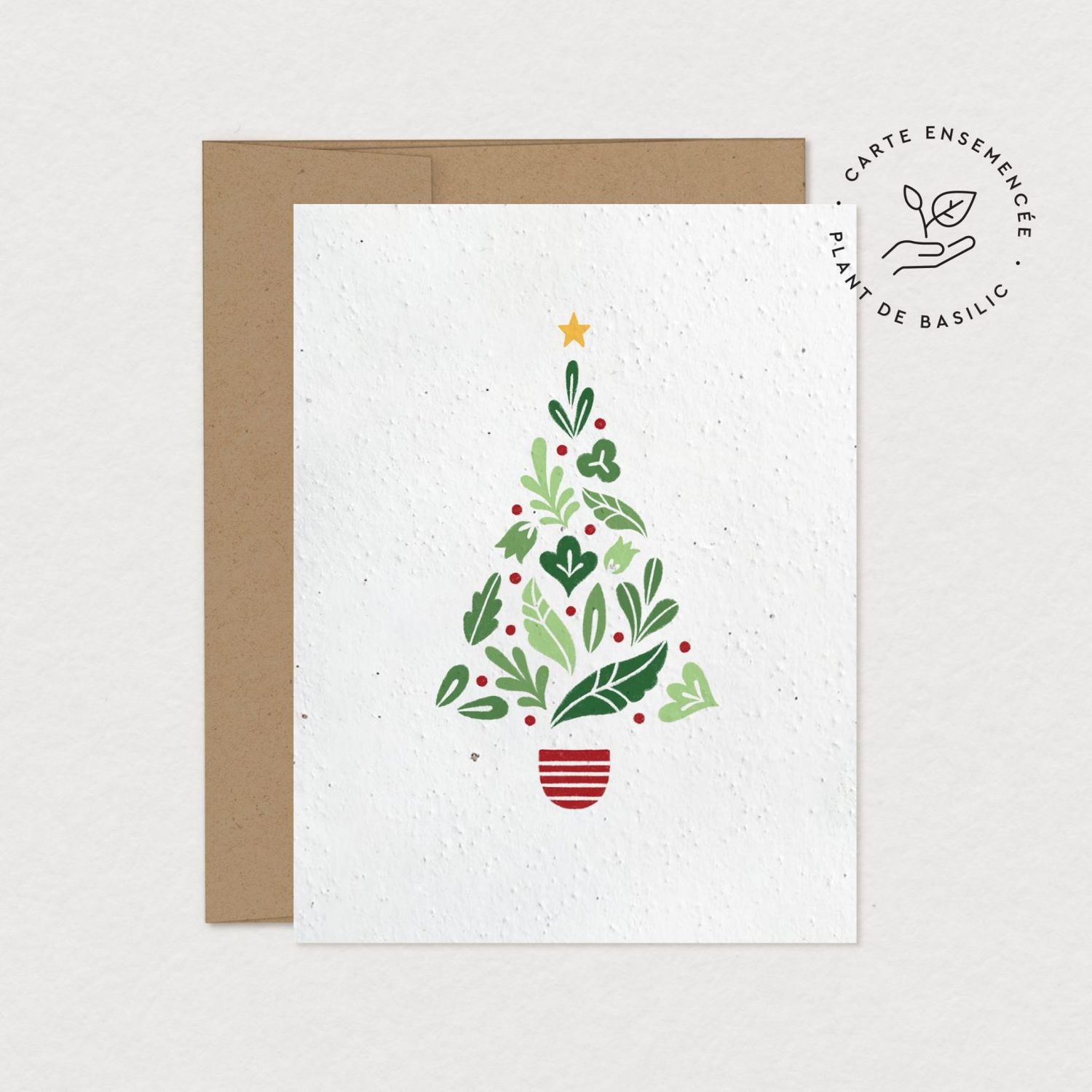 Mimosa - Greeting Card to Plant - Christmas Tree