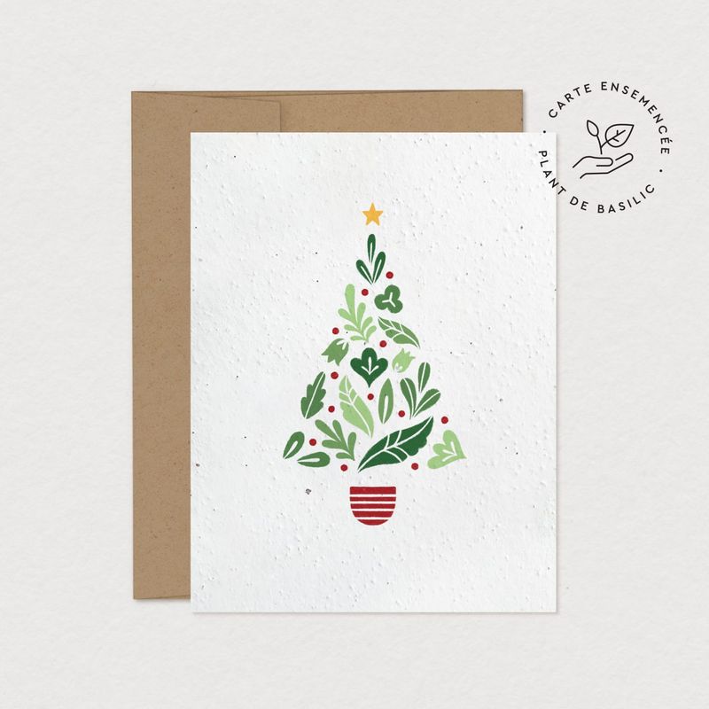 Mimosa - Greeting Card to Plant - Christmas Tree