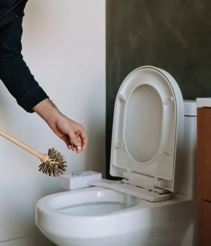 The Unscented Company - Toilet Bowl Cleaner